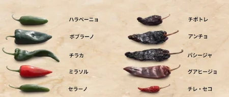 生と乾燥で名前が異なるトウガラシの一例