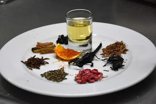 神々の飲み物メスカル