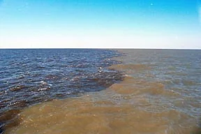 ミシシッピ川からメキシコ湾へ流れ込む大量の堆積物がデッドゾーンの原因となっている