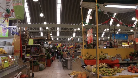 メキシコや中南米の多様な食材を入手できるメデジン市場