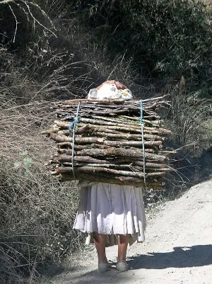 山道を歩いて薪を運ぶ先住民の女性